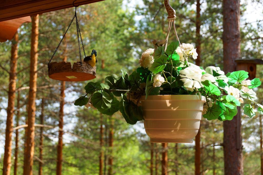 Kettu Holl Cottage Taipalsaari Eksteriør bilde