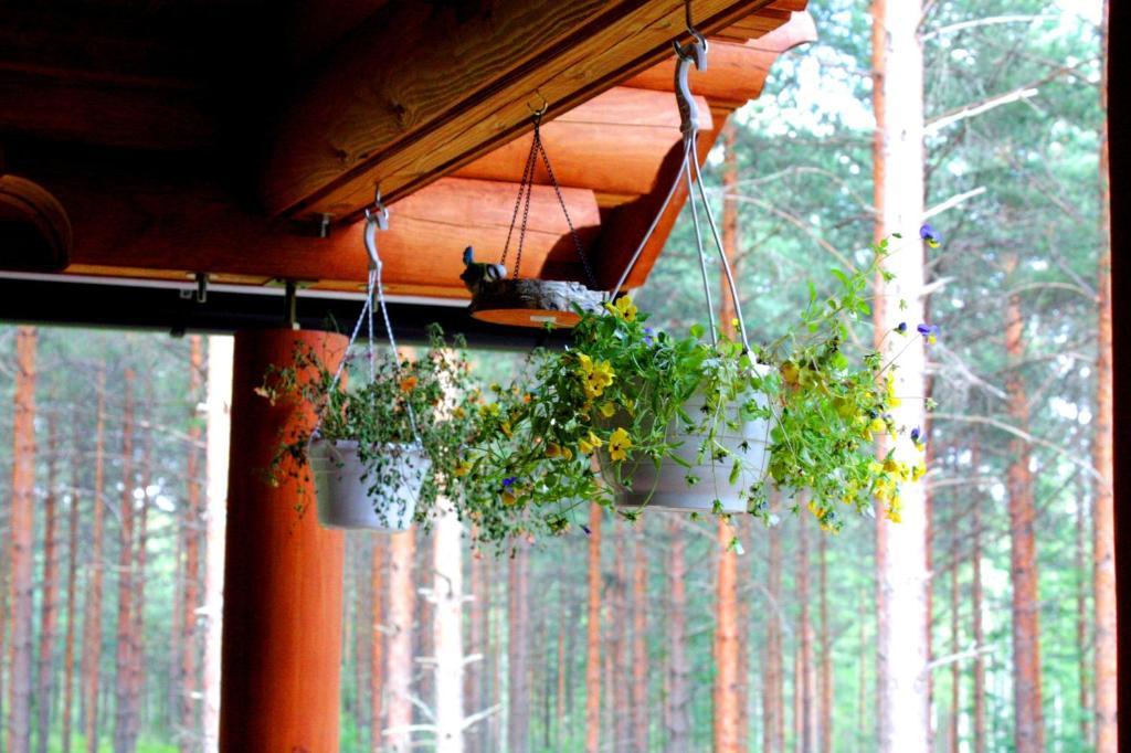 Kettu Holl Cottage Taipalsaari Eksteriør bilde